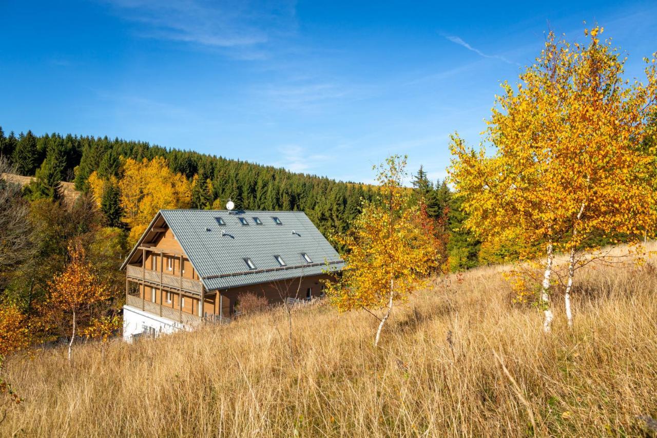 Apartamento Krusnohorske Strane Loučná pod Klínovcem Exterior foto
